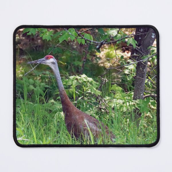Item preview, Sandhill Crane In The Tall Grass designed and sold by Deb Oppermann.