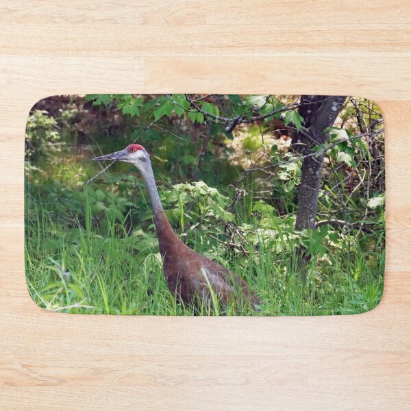 Item preview, Sandhill Crane In The Tall Grass designed and sold by Deb Oppermann.