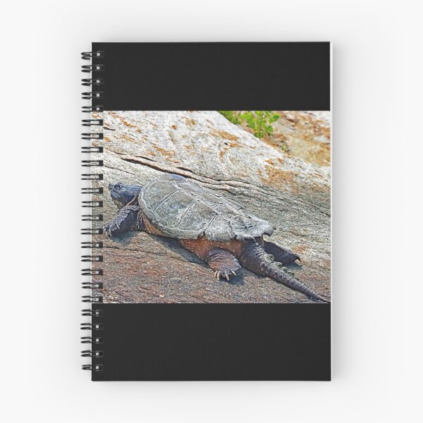 Item preview, The Snapper designed and sold by Deb Oppermann.