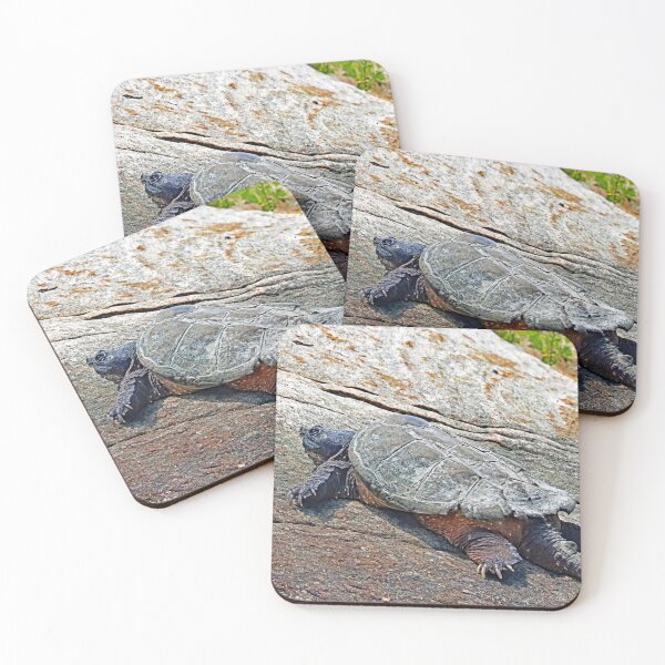 Item preview, The Snapper designed and sold by Deb Oppermann.