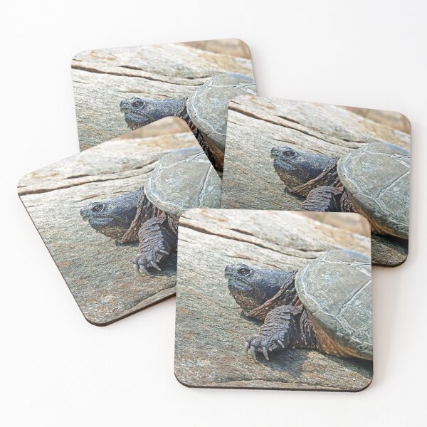 Item preview, The Snapper Close Up designed and sold by Deb Oppermann.