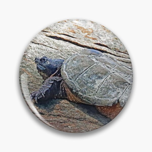 Item preview, The Snapper designed and sold by Deb Oppermann.