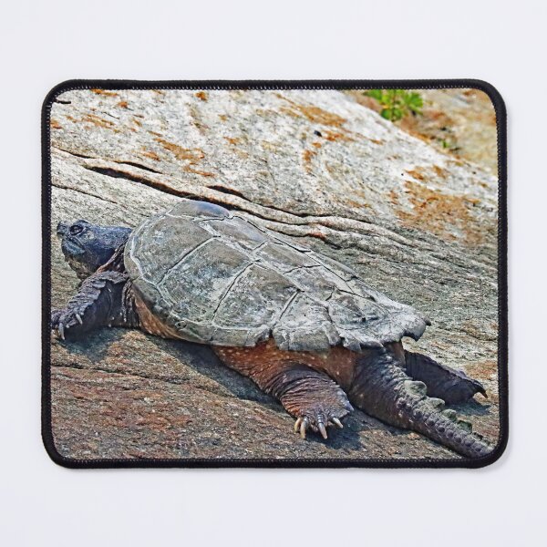 Item preview, The Snapper designed and sold by Deb Oppermann.