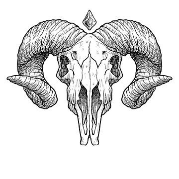 Goat skull tattoo design by Aggelikiscreations on DeviantArt