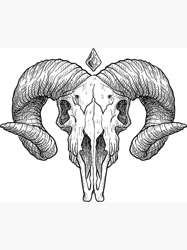 Blackwork goat skull done at Primordial Tattoo Studio | Tattoos, Tattoo goat,  Geometric goat tattoo