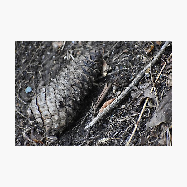 Item preview, Pinecone designed and sold by Rett-Hill.