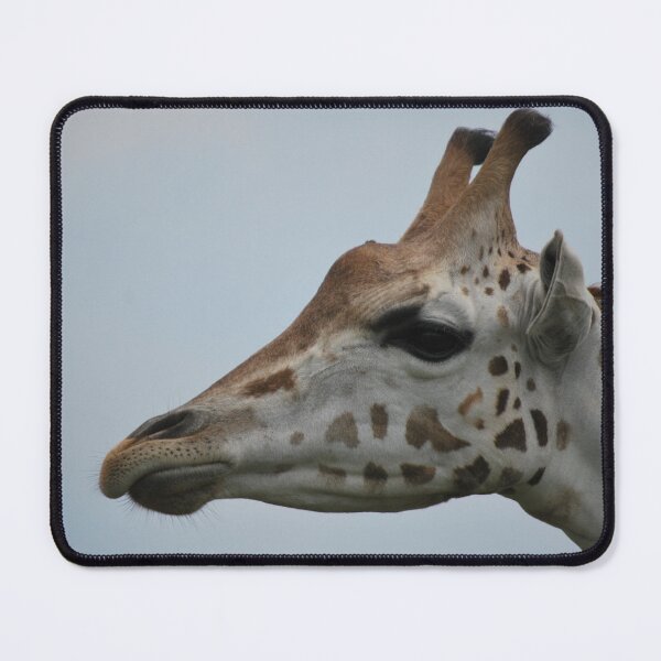 Item preview, Closeup Giraffe Head designed and sold by AlishaWatson.