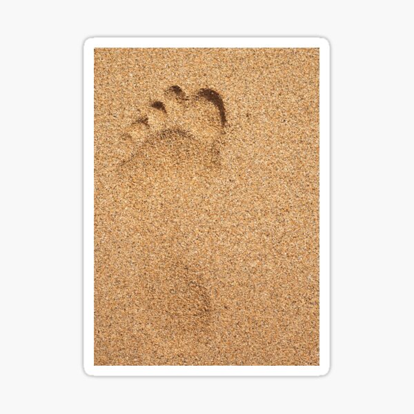 Item preview, Footprint in the sand designed and sold by AlishaWatson.