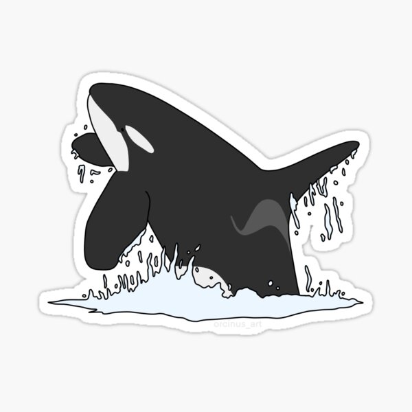 Item preview, Breaching Orca designed and sold by OrcinusArt.
