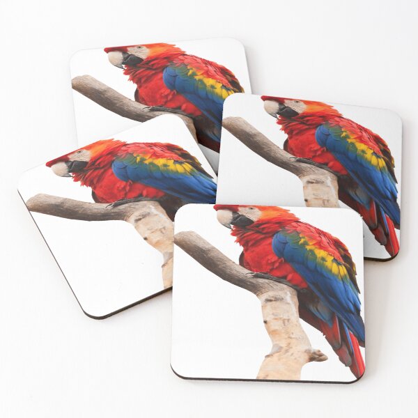 Item preview, Five color parrot ruffled feathers on branch designed and sold by IslaBell1992.