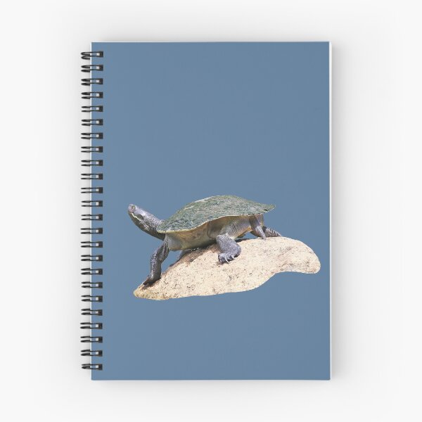 Item preview, Tortoise designed and sold by STHogan2.