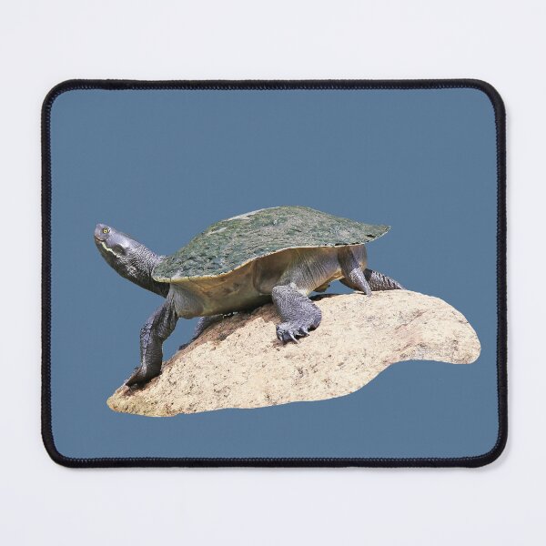 Item preview, Tortoise designed and sold by STHogan2.