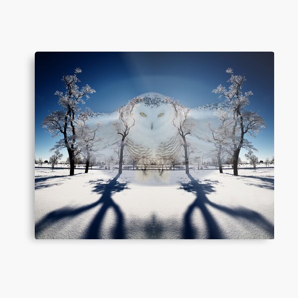 Three Sisters with Owl Metal Print