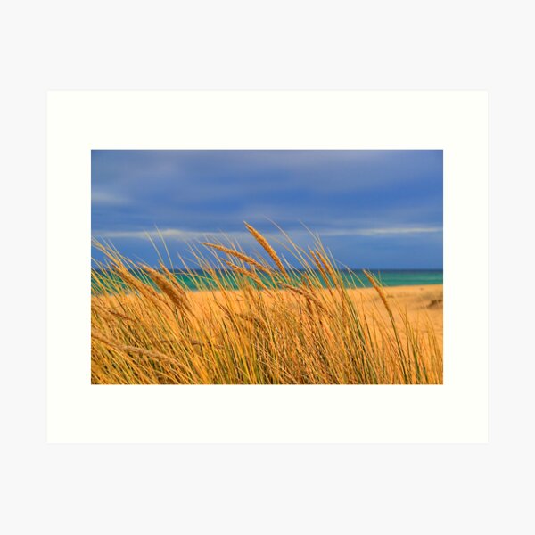 Item preview, Lakes Tyers Beach designed and sold by Ashpix.