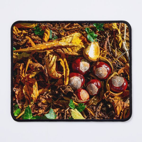 Item preview, A Conker nest! designed and sold by Dalyndigital Photography.