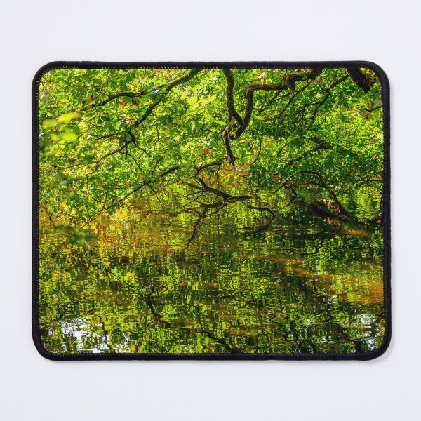 Item preview, Reflections! designed and sold by Dalyndigital Photography.