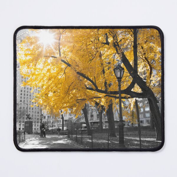 Item preview, Central park - New York designed and sold by assaf.