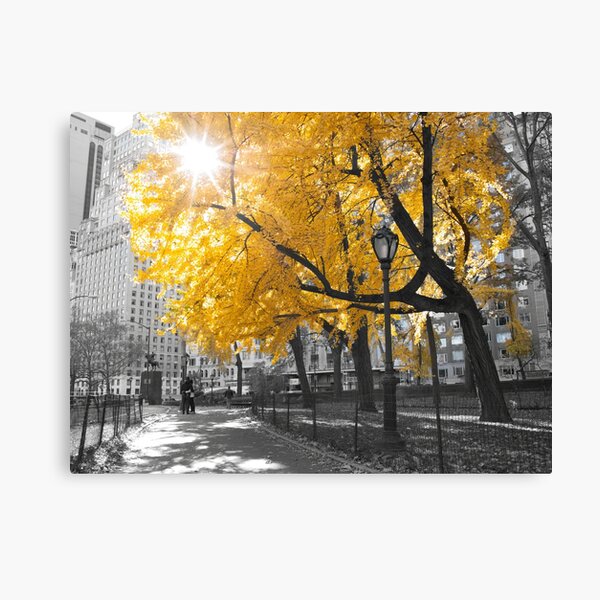 Item preview, Central park - New York designed and sold by Assaf Frank.