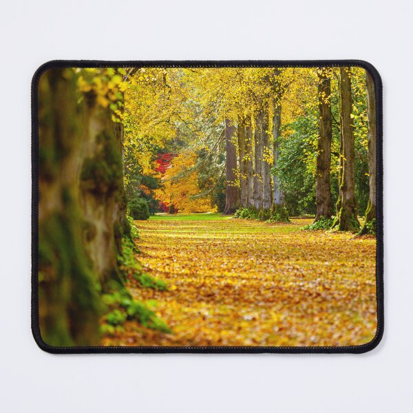 Item preview, Golden Avenue passageway designed and sold by Dalyndigital Photography.