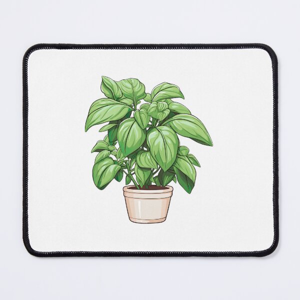 Item preview, Basil Plant designed and sold by ImageTcraft.