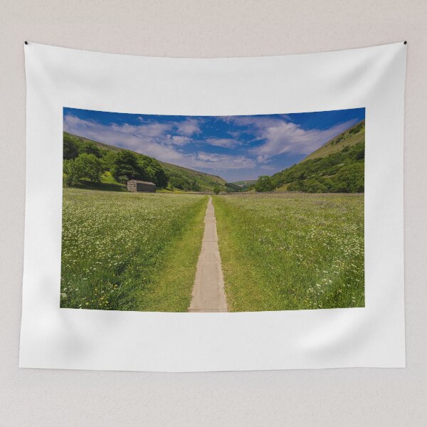 Item preview, Path through the wildflower meadows, Muker, Swaledale, Yorkshire Dales designed and sold by MichaelBShannon.