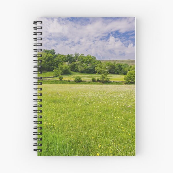 Item preview, Wild Flower meadow in Swaledale, Yorkshire Dales designed and sold by MichaelBShannon.