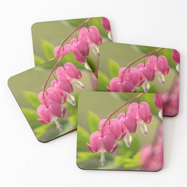 Item preview, Bleeding hearts flower designed and sold by StohlerPhotos.