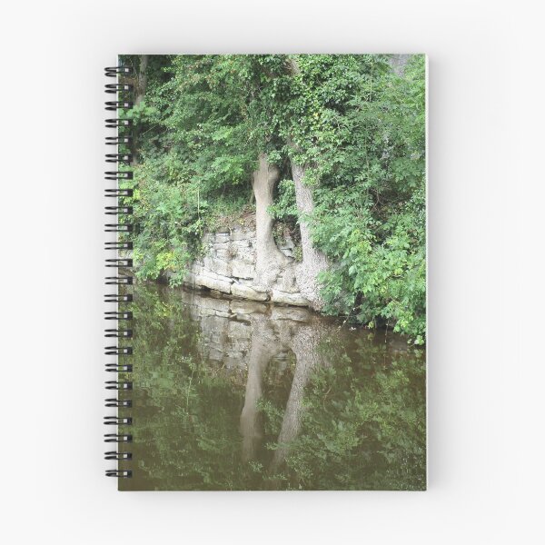 Item preview, Relaxing Reflection designed and sold by carrizizi.