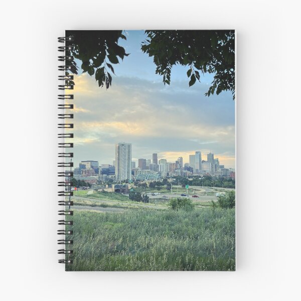 Item preview, Denver designed and sold by Nvision.