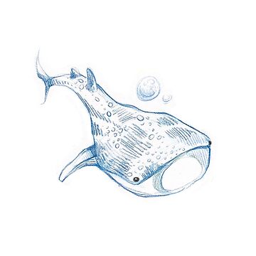 Artwork thumbnail, Whale Shark by snailplants