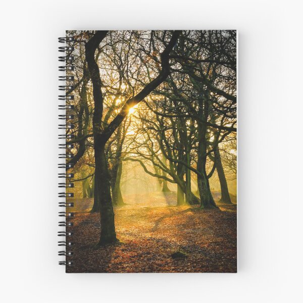 Item preview, Fall....Autumn leaves in the woods... designed and sold by Rob  Ford.