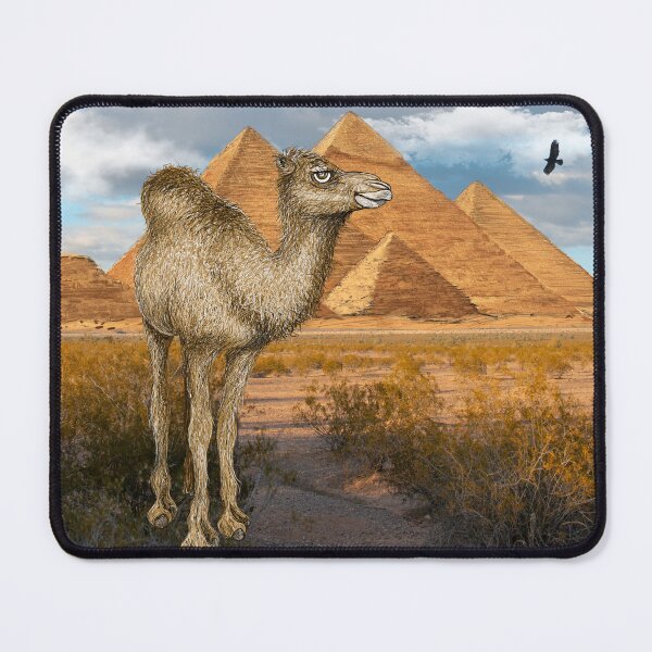 Item preview, Camel at Giza Pyramids designed and sold by oz10.