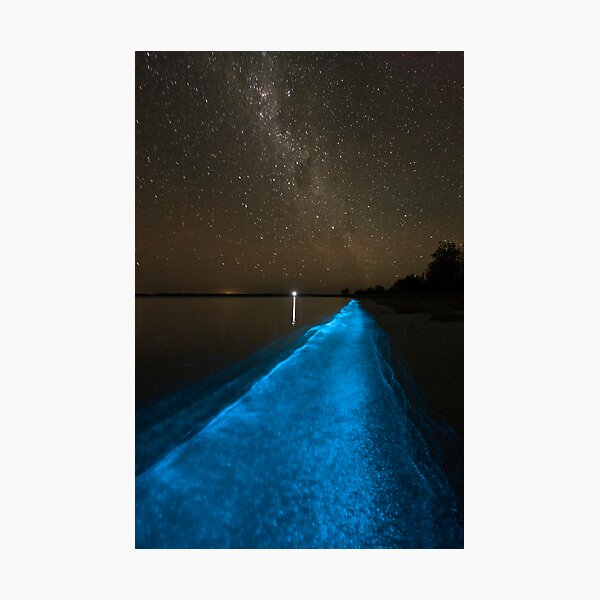 Item preview, Bioluminescence under the Southern Sky designed and sold by Phil Hart.