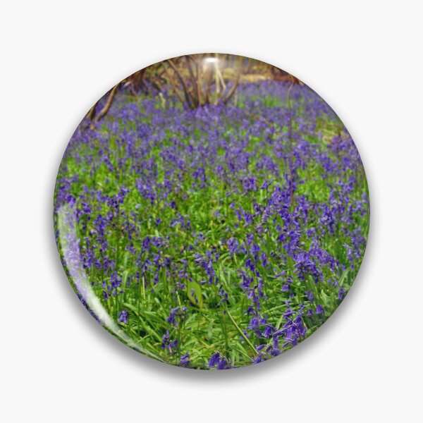 Item preview, Bluebell Woods Basildon Park Reading UK designed and sold by AndyEvansPhotos.