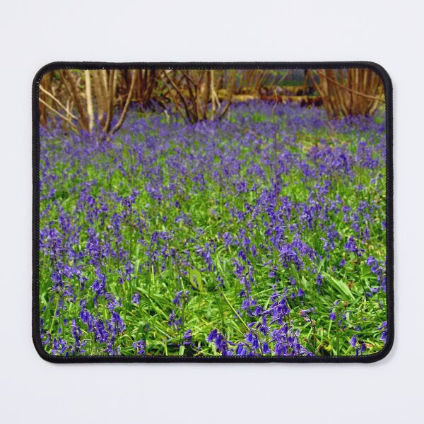 Item preview, Bluebell Woods Basildon Park Reading UK designed and sold by AndyEvansPhotos.