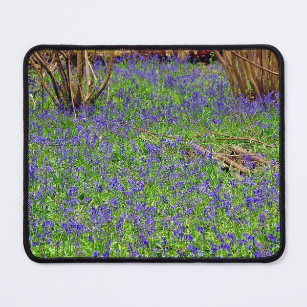Item preview, Bluebell Woods Basildon Park Reading UK designed and sold by AndyEvansPhotos.
