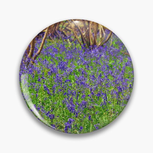 Item preview, Bluebell Woods Basildon Park Reading UK designed and sold by AndyEvansPhotos.