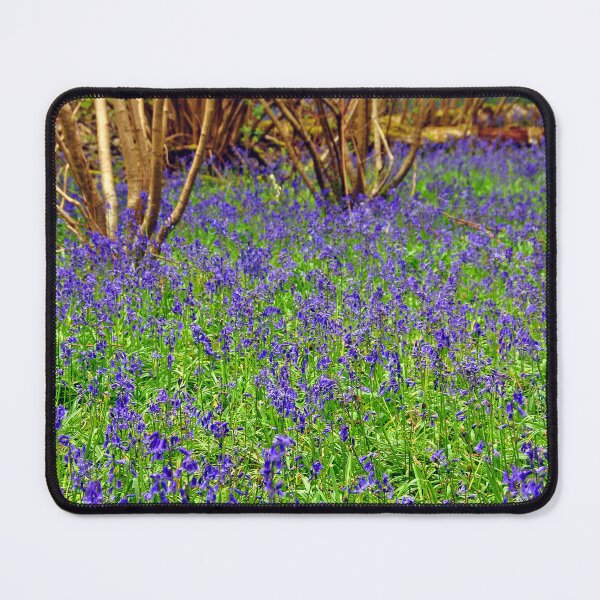 Item preview, Bluebell Woods Basildon Park Reading UK designed and sold by AndyEvansPhotos.