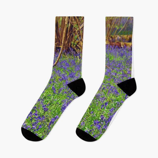 Item preview, Bluebell Woods Basildon Park Reading UK designed and sold by AndyEvansPhotos.