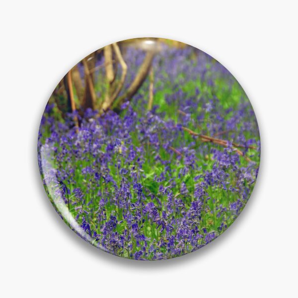 Item preview, Bluebell Woods Basildon Park Reading UK designed and sold by AndyEvansPhotos.