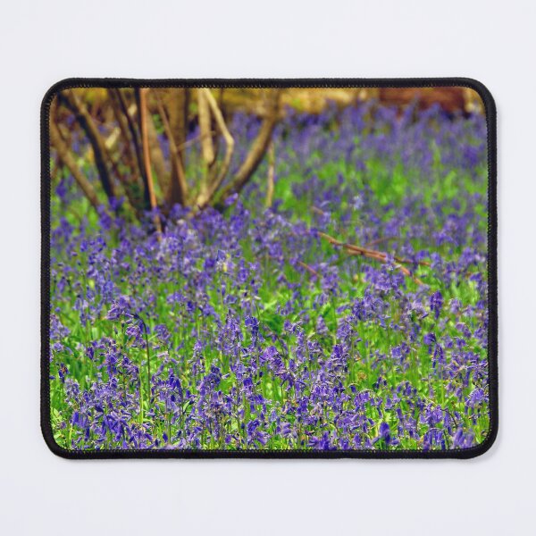 Item preview, Bluebell Woods Basildon Park Reading UK designed and sold by AndyEvansPhotos.