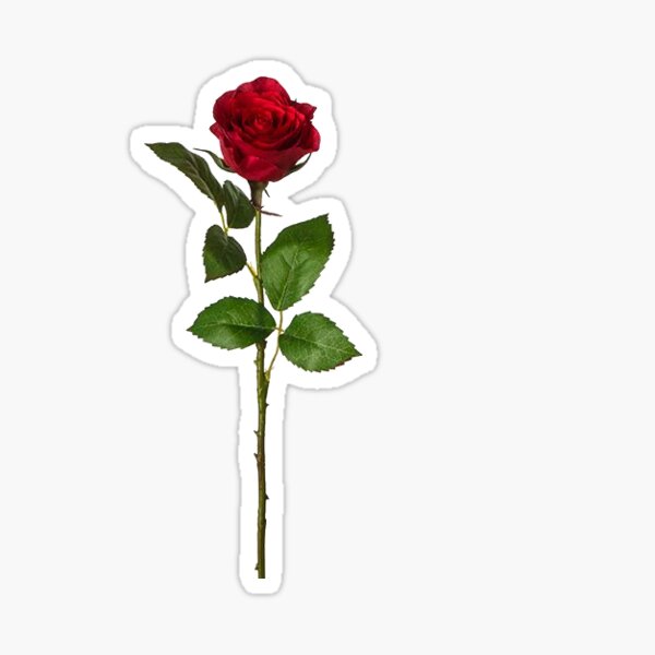 Artikel-Vorschau von kleine Rose, designt und verkauft von Kassade.