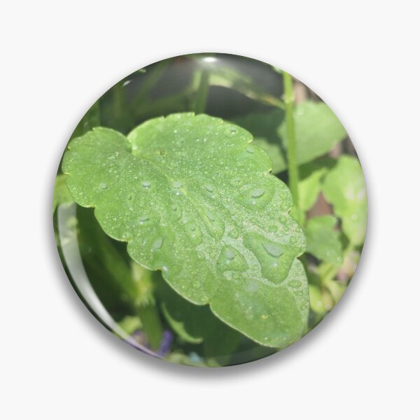 Item preview, Leaf With Dew Drops designed and sold by RPoli3.