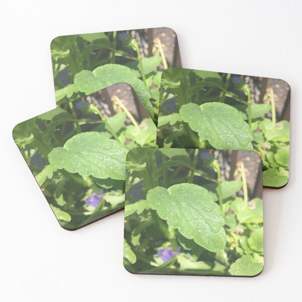 Item preview, Leaf With Dew Drops designed and sold by RPoli3.