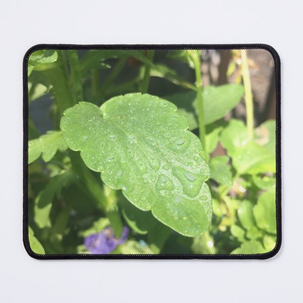 Item preview, Leaf With Dew Drops designed and sold by RPoli3.