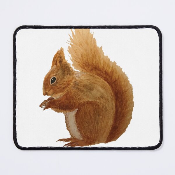 Item preview, Mr Squirrel designed and sold by Juliejart.