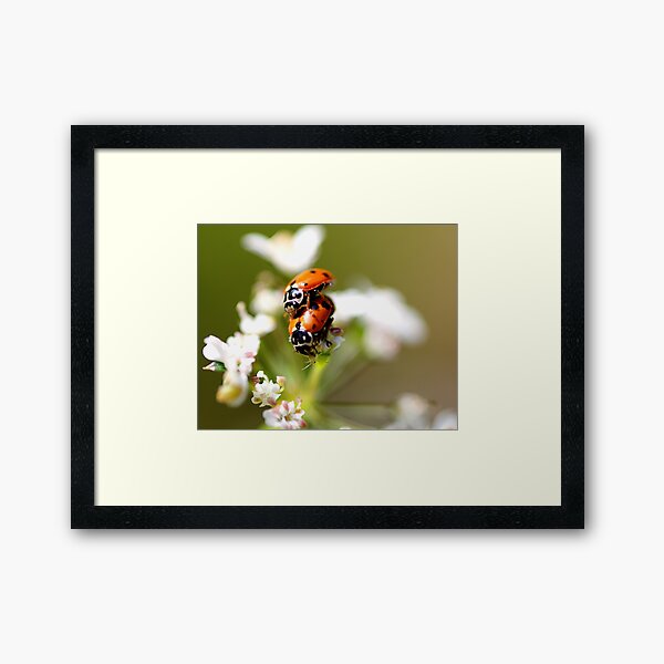 ~Privacy Please~ Framed Art Print