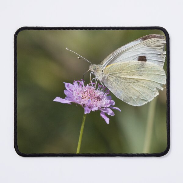 Item preview, Large White designed and sold by LaurenTucker.