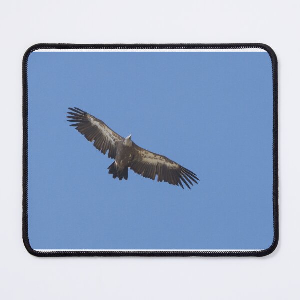 Item preview, Griffon Vulture designed and sold by LaurenTucker.