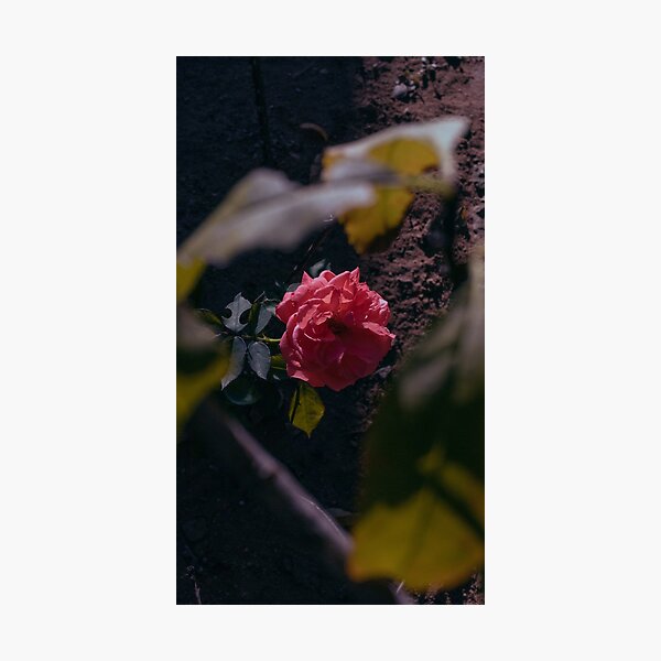 Item preview, 1 of 1 designed and sold by By Buhle Photography.